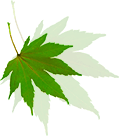 3c2504ef6e09411b9fbff211ab9c2670.png