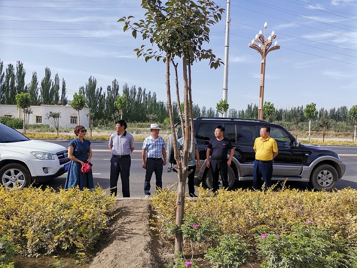 兵團風(fēng)景園林學(xué)會專家組現(xiàn)場檢查軍墾大道延伸段道路建設(shè)項目