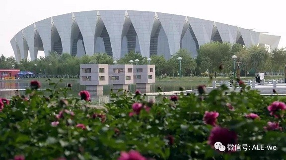 這個地方太火爆，運動達人紛紛前來打卡…