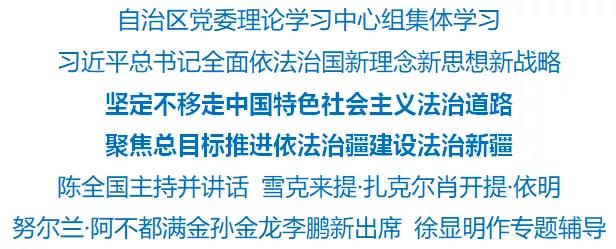 自治區黨委理論學習中心組進行集體學習