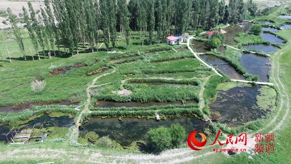 匯河原始生態(tài)園：人與自然和諧共生