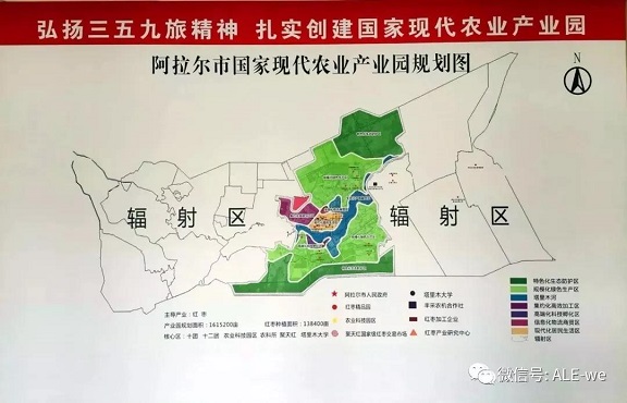 阿拉爾市國家現代農業產業園交出亮眼成績單