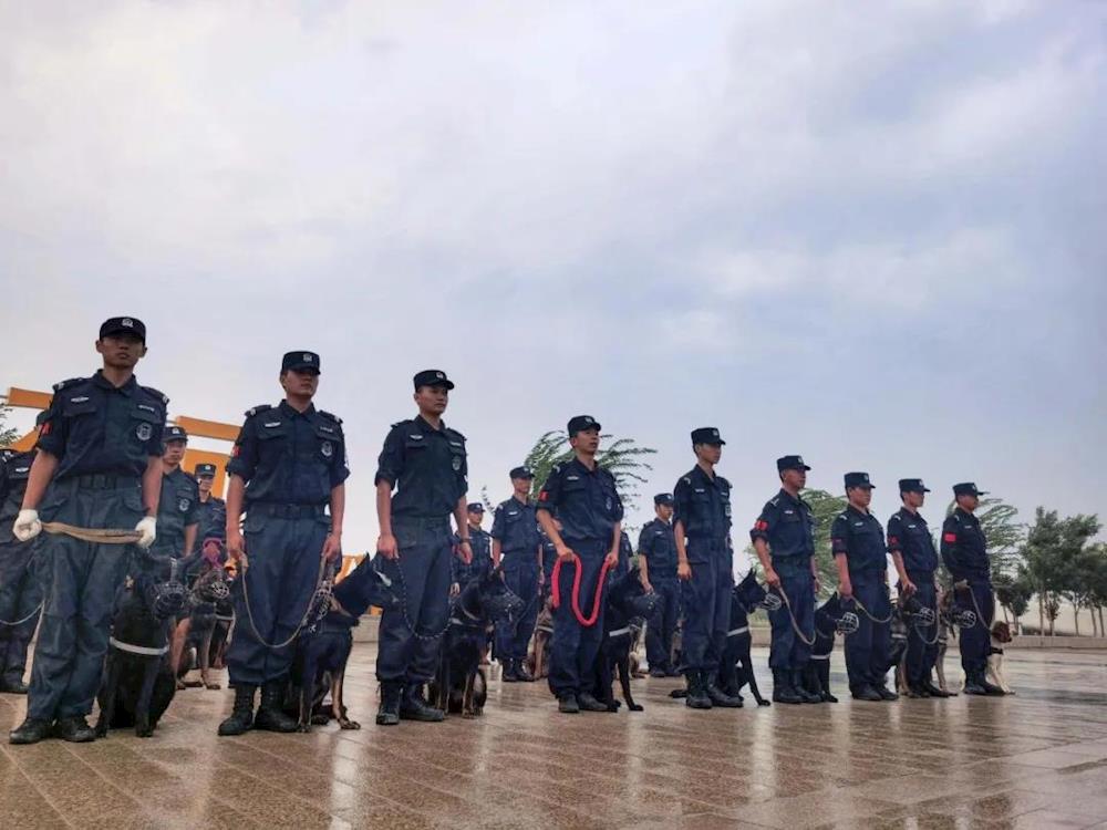 第一師阿拉爾市公安局警犬大隊 首次亮相胡楊河畔！颯！