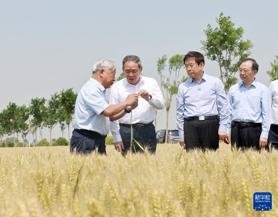 李強在河南調研時強調 扎實做好“三夏”工作確保夏糧豐收 推動農業創新發展夯實現代化產業體系根基