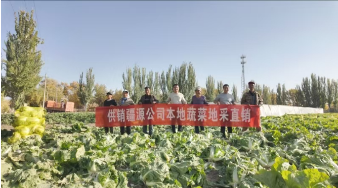 供銷疆源公司：大力推進(jìn)地采直銷運(yùn)營模式切實(shí)發(fā)揮平抑物價(jià)作用