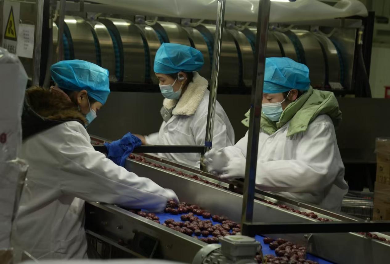 新年新氣象，西域圣源果業有限公司全面啟動復工復產
