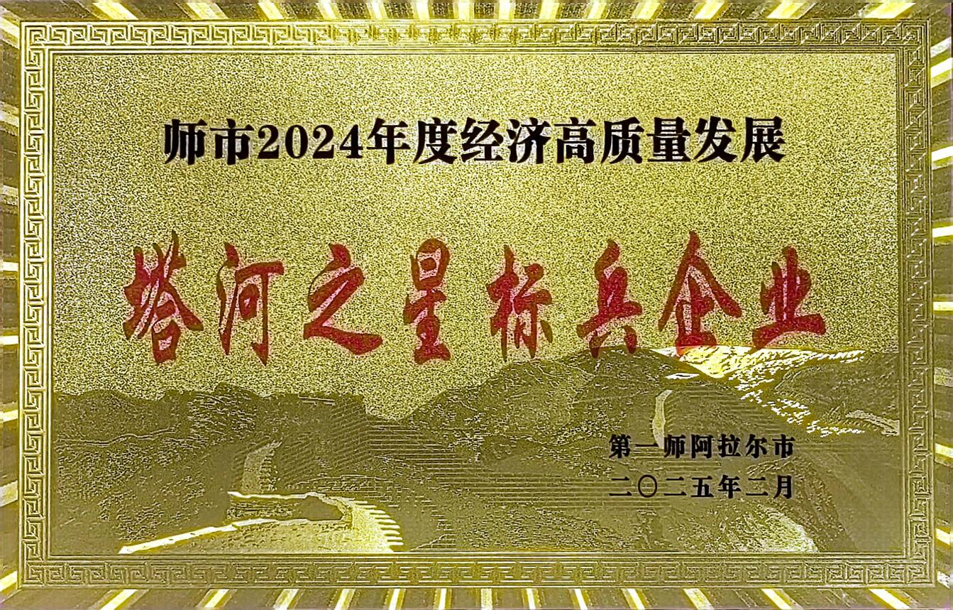 水利水電公司榮獲師市2024年度經濟高質量發展“塔河之星標兵企業”稱號